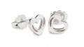 Horseshoe earrings