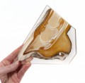 Equine Hoof Plastinate