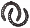 Equishoe trainers