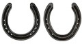 Cottam Horseshoe Equishoe