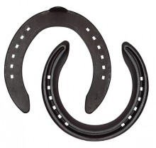 Equishoe trainers